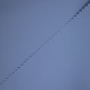    tecido_de_microfibra_para_fardas_100__poliester_alta_qualidade_e_conforto_azul_hospitalar_Texland